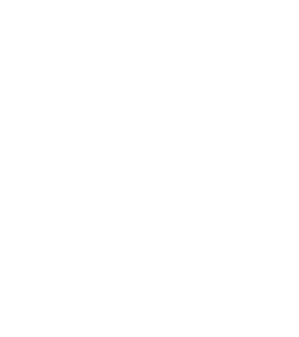 STATE OF GEORGIA 45-DAY TEMPORARY TAG WITH 45-DAY TEMPORARY REGISTRATION